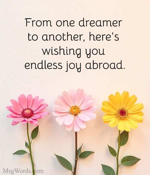 From one dreamer to another, here’s wishing you endless joy abroad.