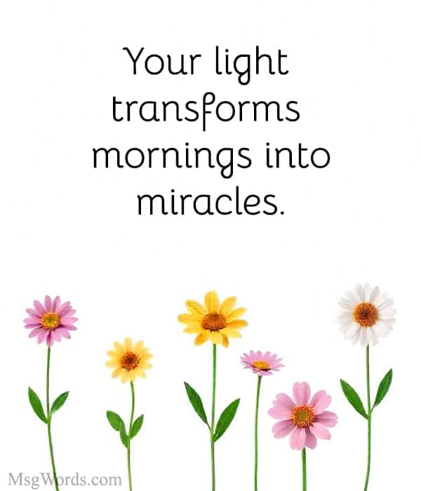 Your light transforms mornings into miracles.