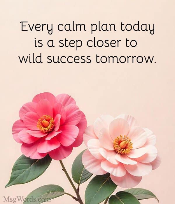 Every calm plan today is a step closer to wild success tomorrow.