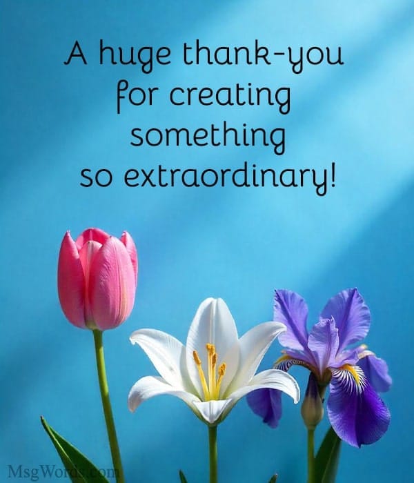 A huge thank-you for creating something so extraordinary!