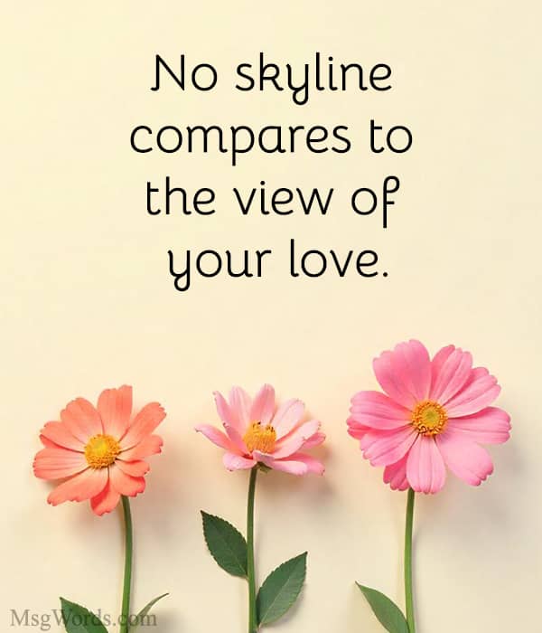 No skyline compares to the view of your love.