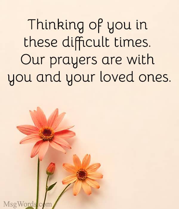 Thinking of you in these difficult times. Our prayers are with you and your loved ones.