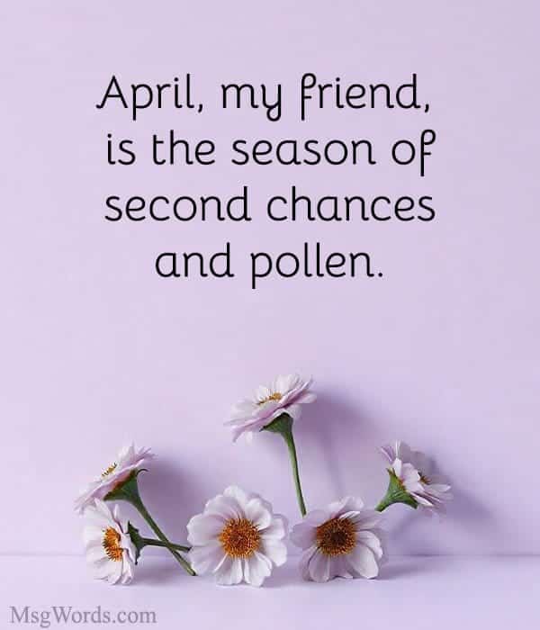 April, my friend, is the season of second chances; and pollen.