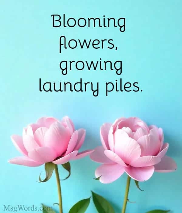 Blooming flowers, growing laundry piles.