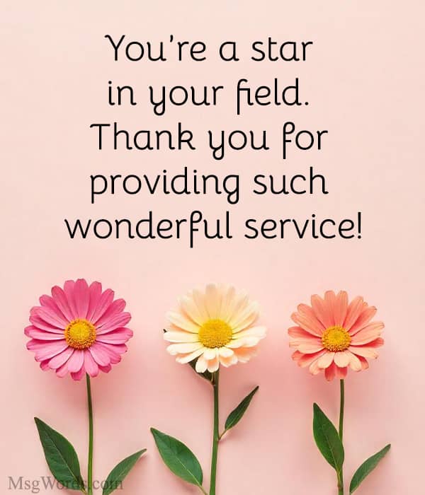 You’re a star in your field. Thank you for providing such wonderful service!