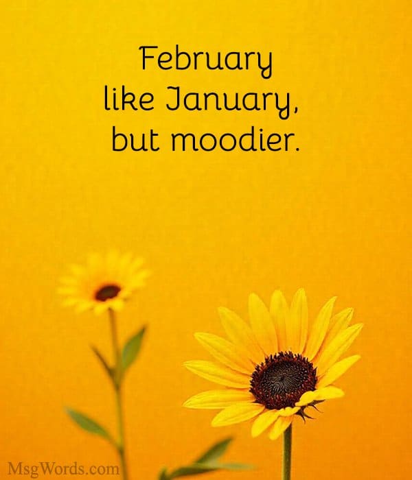 February: like January, but moodier.