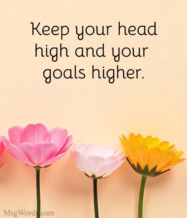 Keep your head high and your goals higher.