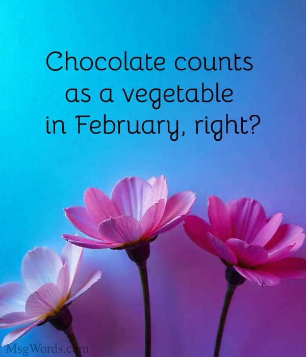 Chocolate counts as a vegetable in February, right?