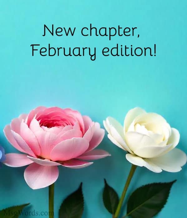 New chapter, February edition!