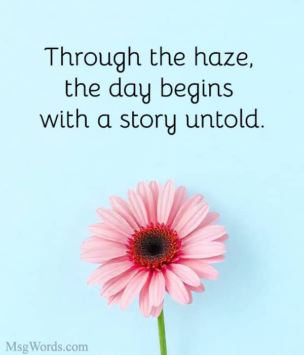 Through the haze, the day begins with a story untold.
