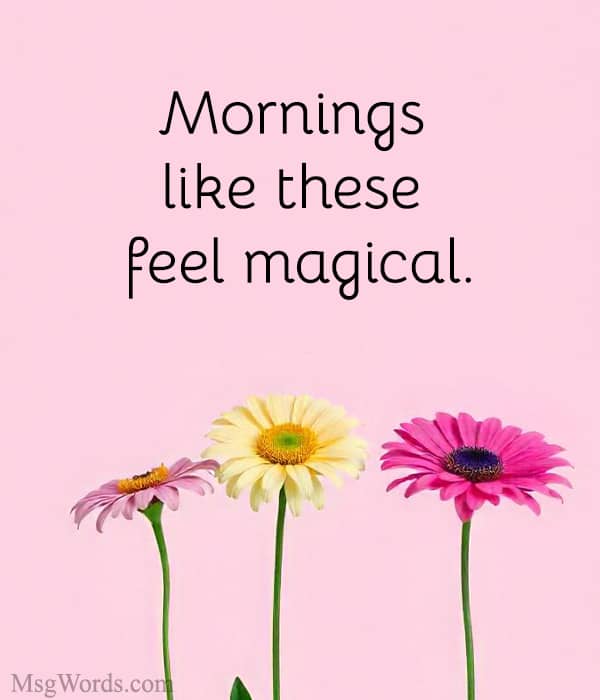 Mornings like these feel magical.