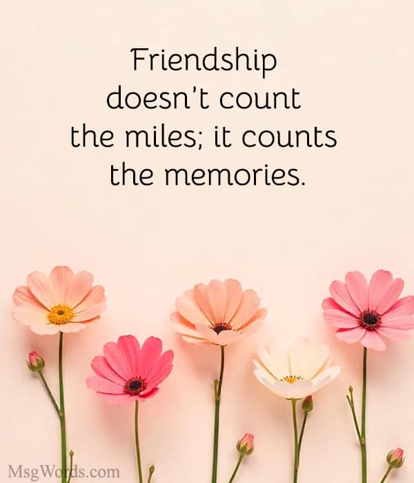 Friendship doesn’t count the miles; it counts the memories.