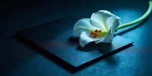 Funeral Invitation Messages and cards to Honor a Loved One