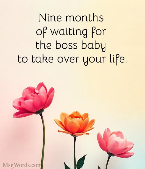 Nine months of waiting for the boss baby to take over your life.