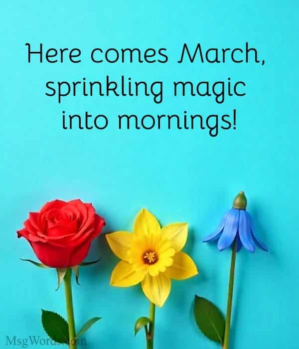 Here comes March, sprinkling magic into mornings!