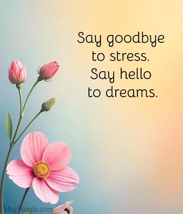 Say goodbye to stress. Say hello to dreams.