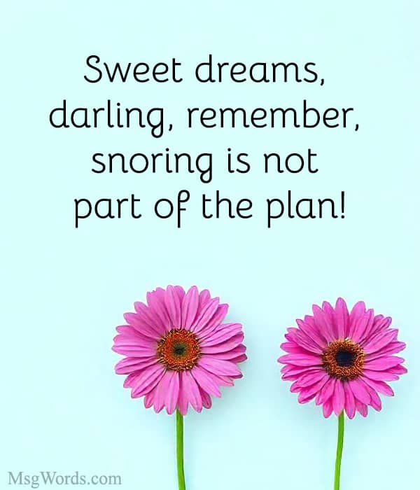 Sweet dreams, darling, remember, snoring is not part of the plan!