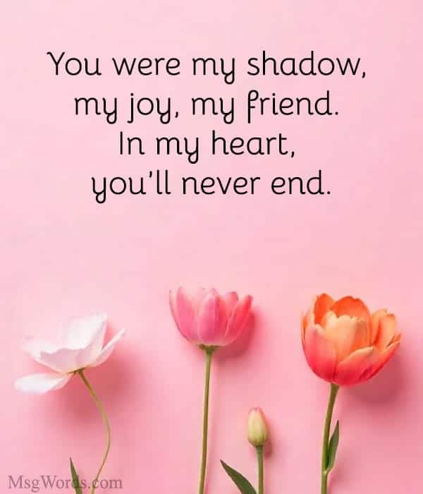 You were my shadow, my joy, my friend. In my heart, you’ll never end.