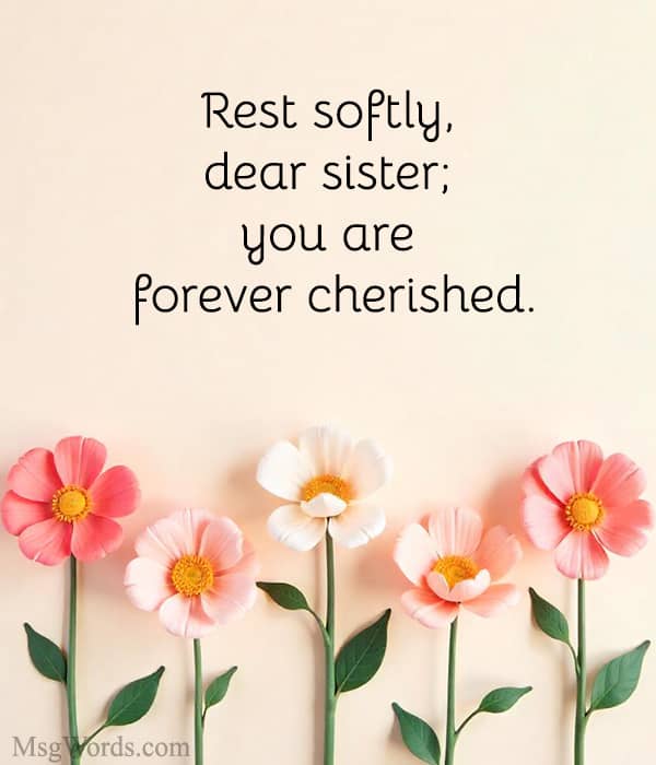 Rest softly, dear sister; you are forever cherished.