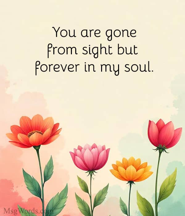 You are gone from sight but forever in my soul.