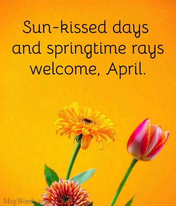 Sun-kissed days and springtime rays – welcome, April.