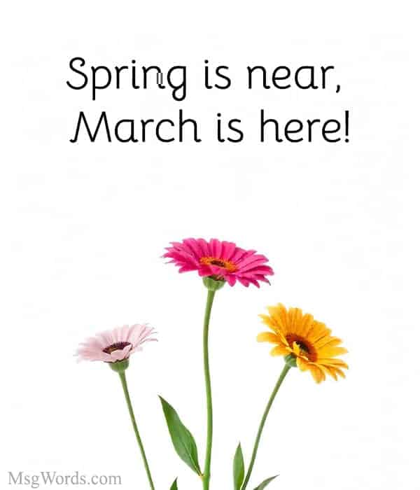 Spring is near, March is here!