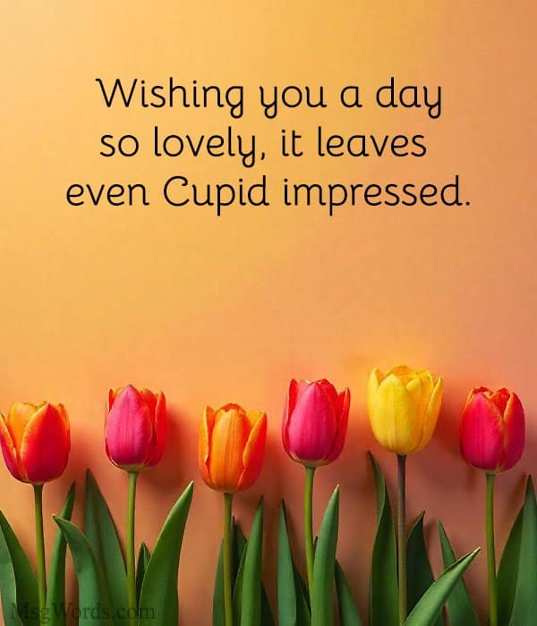 Wishing you a day so lovely, it leaves even Cupid impressed.
