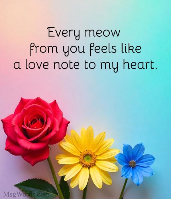 Every meow from you feels like a love note to my heart.
