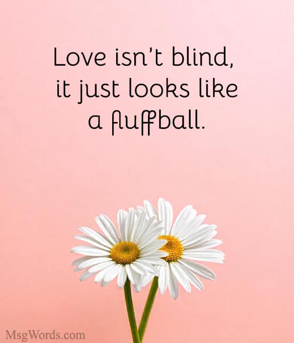 Love isn’t blind, it just looks like a fluffball.