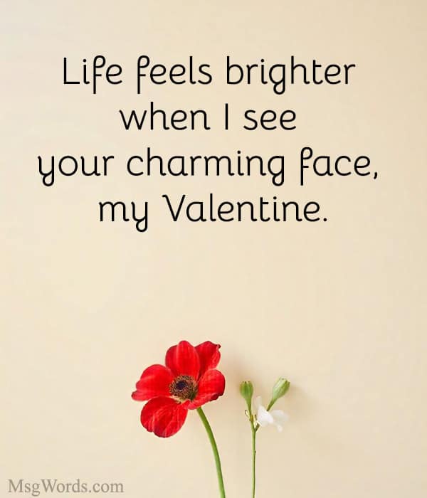 Life feels brighter when I see your charming face, my Valentine.