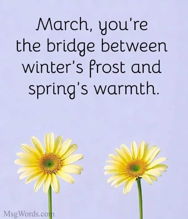 March, you’re the bridge between winter’s frost and spring’s warmth.