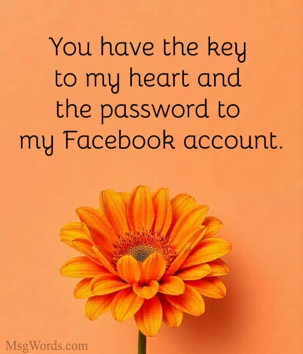 You have the key to my heart and the password to my Facebook account.