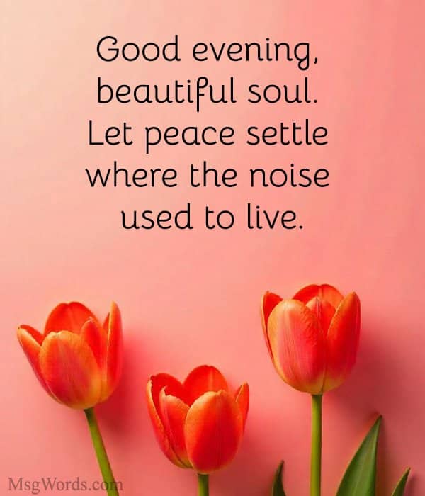 Good evening, beautiful soul. Let peace settle where the noise used to live.