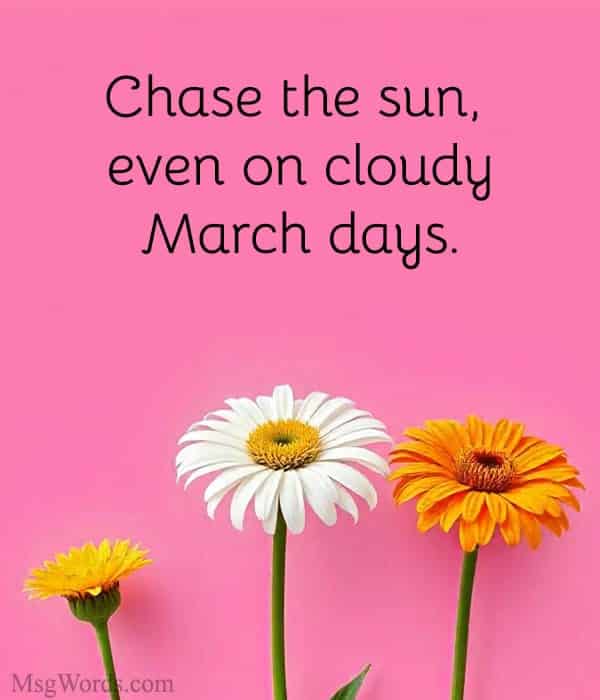 Chase the sun, even on cloudy March days.
