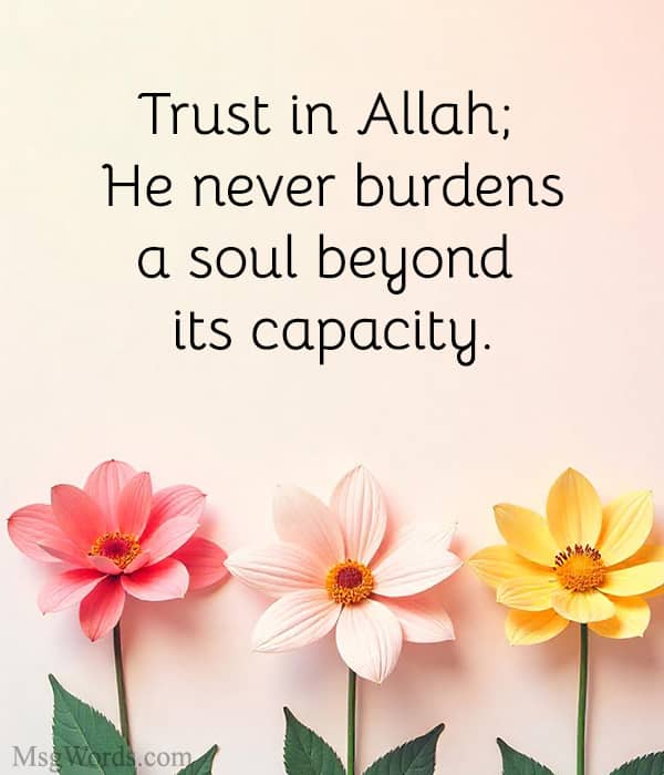 Trust in Allah; He never burdens a soul beyond its capacity.