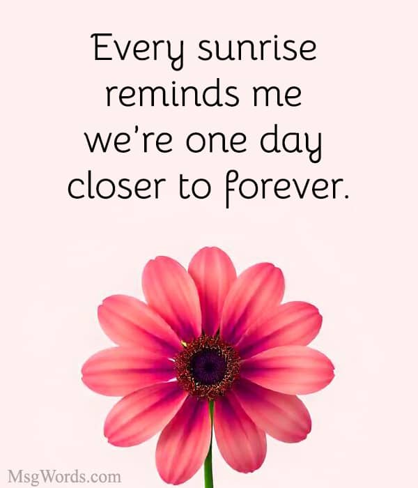 Every sunrise reminds me we’re one day closer to forever.