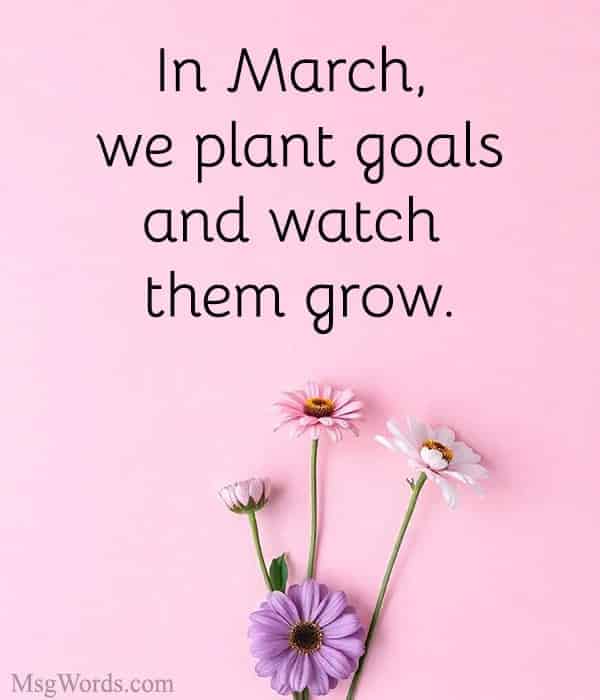 In March, we plant goals and watch them grow.