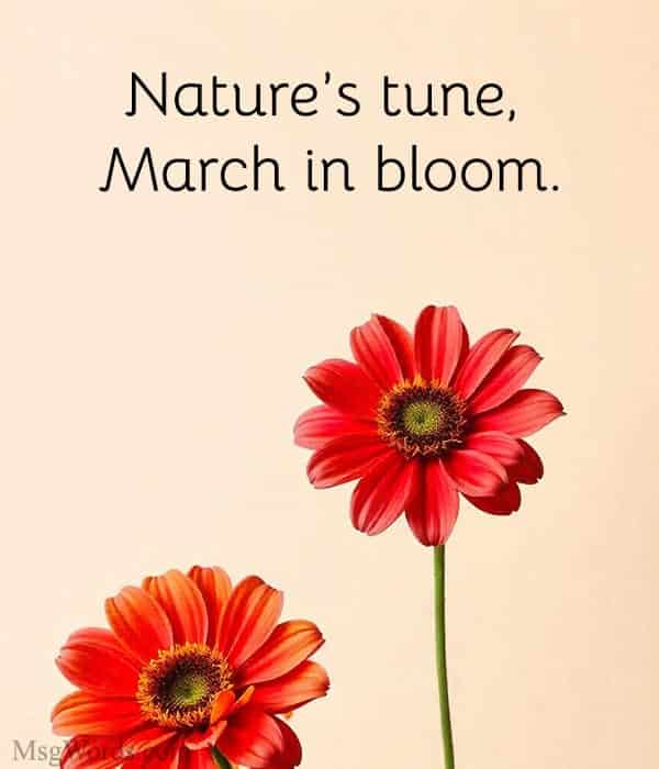 Nature’s tune, March in bloom.