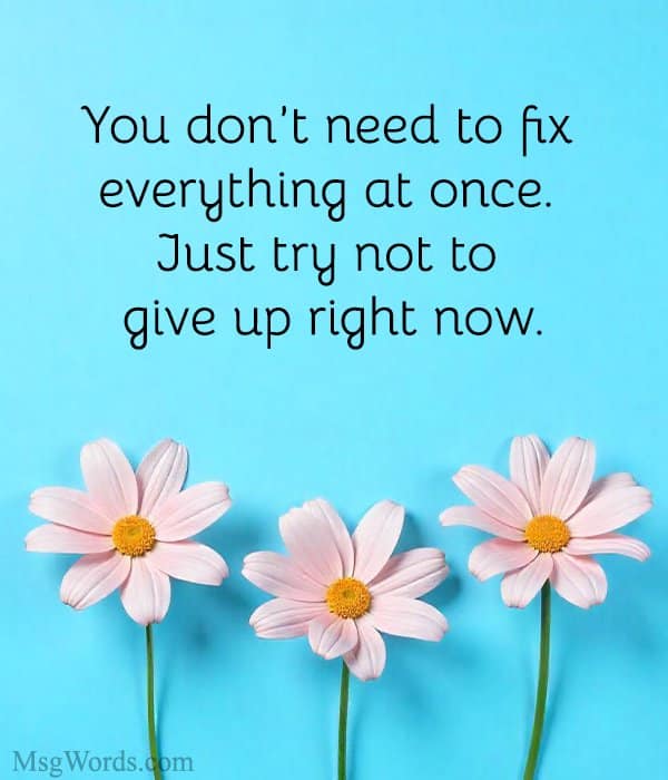 You don’t need to fix everything at once. Just try not to give up right now.