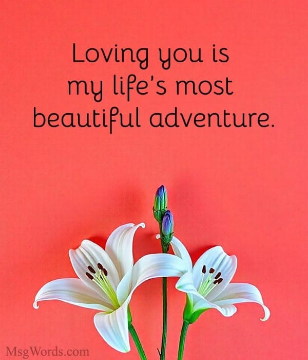 Loving you is my life’s most beautiful adventure.