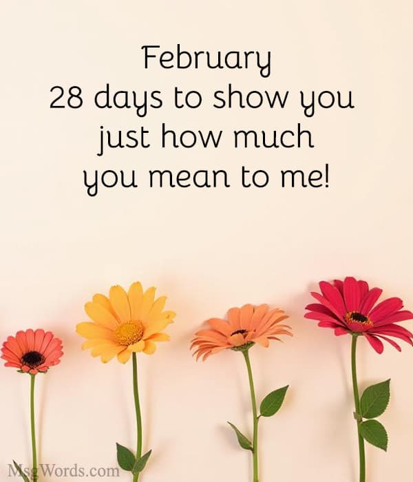 February: 28 days to show you just how much you mean to me!