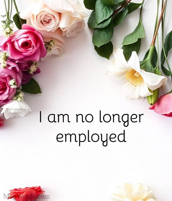 I am no longer employed at [Company]. For assistance, reach out to [Name] at [Email].