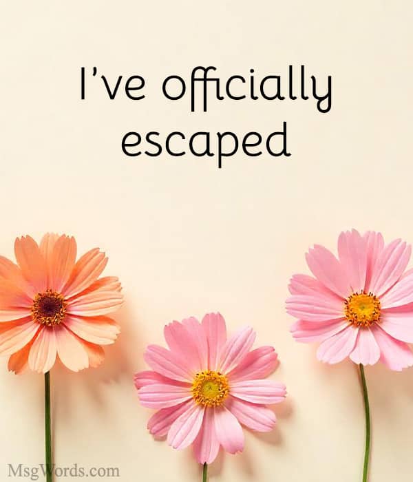 I’ve been set free. [Name] at [Email] is still chained to their desk.