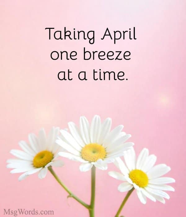 Taking April one breeze at a time.