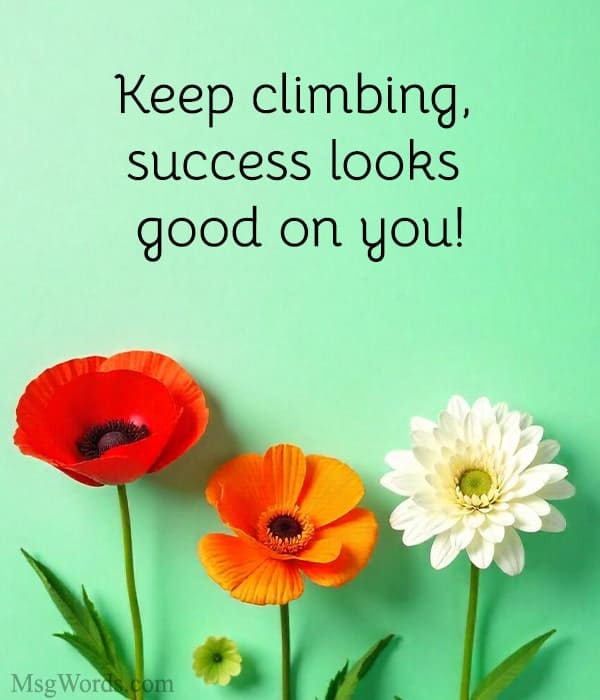 Keep climbing, success looks good on you!