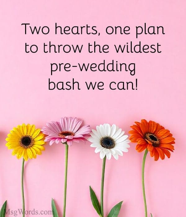 Two hearts, one plan: to throw the wildest pre-wedding bash we can!