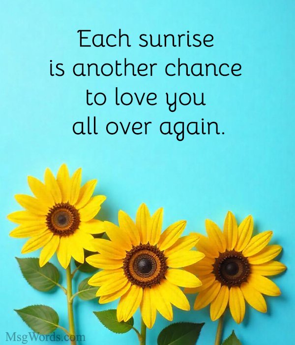 Each sunrise is another chance to love you all over again.