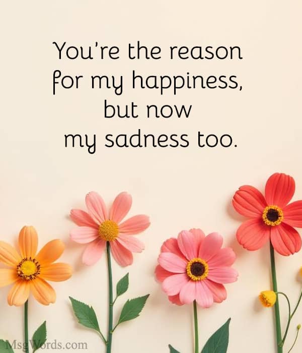 You’re the reason for my happiness, but now my sadness too.