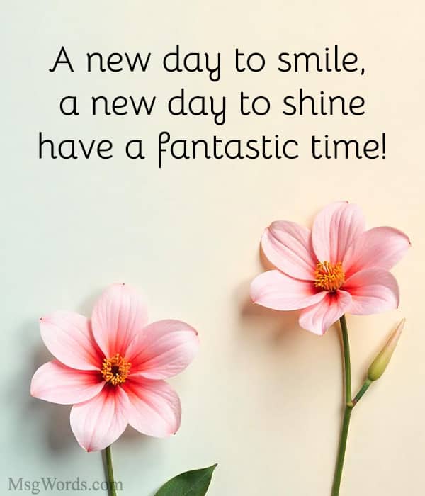 A new day to smile, a new day to shine ; have a fantastic time!