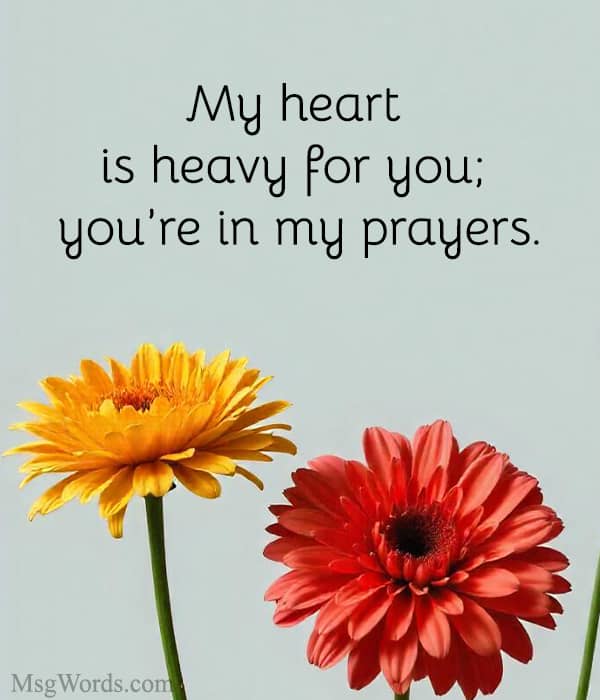 My heart is heavy for you; you’re in my prayers.